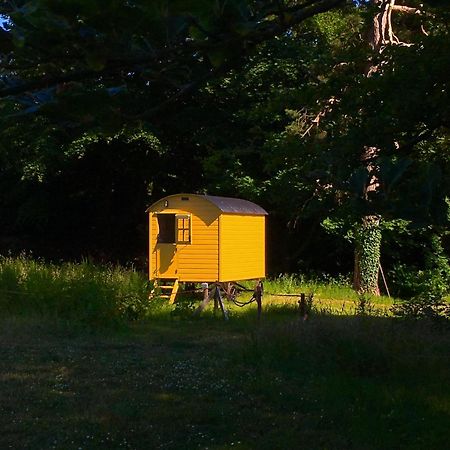 Blackstairs Shepherds Huts Killedmond Esterno foto
